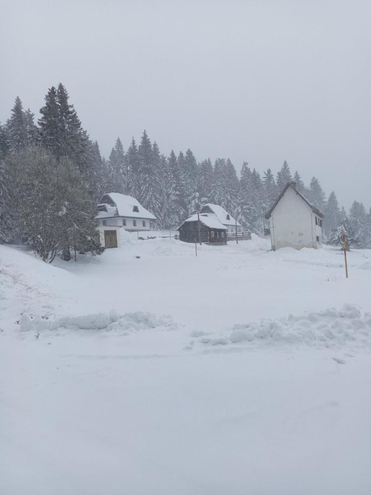 Studios Sumska Kuca 2 & 3 Kopaonik Exterior foto