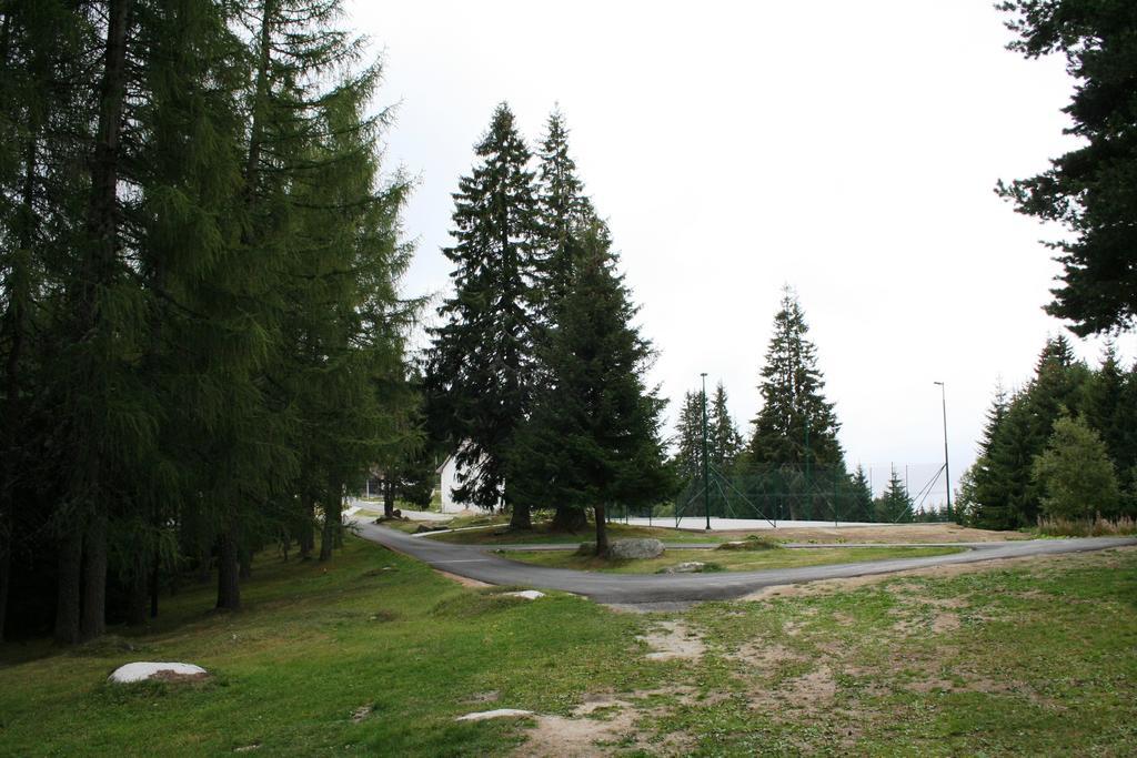 Studios Sumska Kuca 2 & 3 Kopaonik Exterior foto